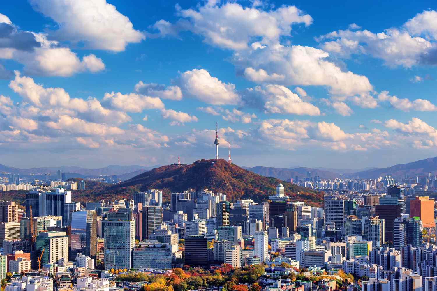 Study in South Korea